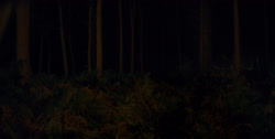 extant_HouseOfTheDragon_1x03-SecondOfHisName_2474