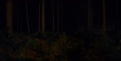 extant_HouseOfTheDragon_1x03-SecondOfHisName_2475
