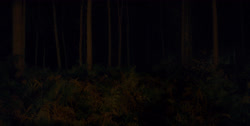 extant_HouseOfTheDragon_1x03-SecondOfHisName_2476
