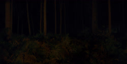 extant_HouseOfTheDragon_1x03-SecondOfHisName_2479