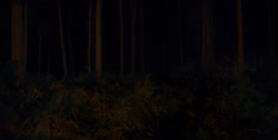 extant_HouseOfTheDragon_1x03-SecondOfHisName_2480