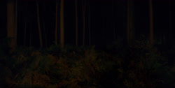 extant_HouseOfTheDragon_1x03-SecondOfHisName_2481