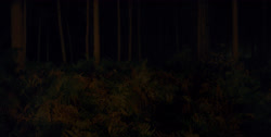 extant_HouseOfTheDragon_1x03-SecondOfHisName_2482
