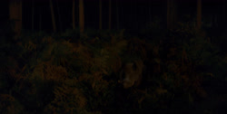 extant_HouseOfTheDragon_1x03-SecondOfHisName_2483