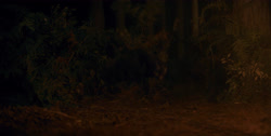 extant_HouseOfTheDragon_1x03-SecondOfHisName_2491