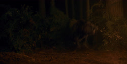 extant_HouseOfTheDragon_1x03-SecondOfHisName_2492