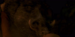 extant_HouseOfTheDragon_1x03-SecondOfHisName_2499