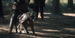 extant_HouseOfTheDragon_1x03-SecondOfHisName_2933