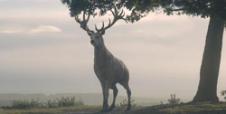 extant_HouseOfTheDragon_1x03-SecondOfHisName_3064