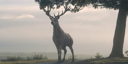 extant_HouseOfTheDragon_1x03-SecondOfHisName_3065
