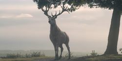 extant_HouseOfTheDragon_1x03-SecondOfHisName_3069