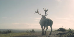 extant_HouseOfTheDragon_1x03-SecondOfHisName_3085