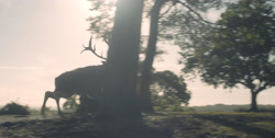 extant_HouseOfTheDragon_1x03-SecondOfHisName_3087