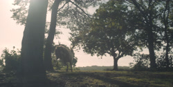 extant_HouseOfTheDragon_1x03-SecondOfHisName_3088