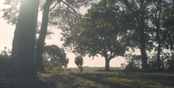 extant_HouseOfTheDragon_1x03-SecondOfHisName_3089