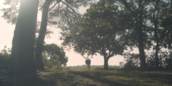 extant_HouseOfTheDragon_1x03-SecondOfHisName_3090