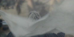 extant_HouseOfTheDragon_1x03-SecondOfHisName_4489