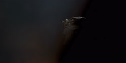 extant_HouseOfTheDragon_1x04-KingOfTheNarrowSea_0390