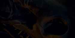 extant_HouseOfTheDragon_1x04-KingOfTheNarrowSea_1551