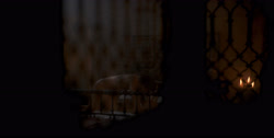 extant_HouseOfTheDragon_1x04-KingOfTheNarrowSea_2869
