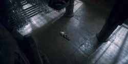 extant_HouseOfTheDragon_1x04-KingOfTheNarrowSea_4164