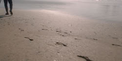 extant_HouseOfTheDragon_1x05-WeLightTheWay_1364