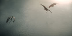 extant_HouseOfTheDragon_1x05-WeLightTheWay_2919