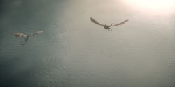 extant_HouseOfTheDragon_1x05-WeLightTheWay_2920