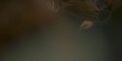 extant_HouseOfTheDragon_1x05-WeLightTheWay_4527
