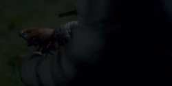 extant_HouseOfTheDragon_1x05-WeLightTheWay_4726