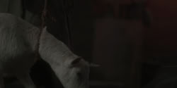 extant_HouseOfTheDragon_1x06-ThePrincessAndTheQueen_0947