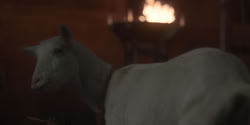 extant_HouseOfTheDragon_1x06-ThePrincessAndTheQueen_0956