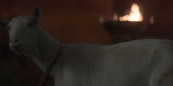 extant_HouseOfTheDragon_1x06-ThePrincessAndTheQueen_0957