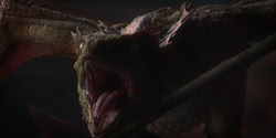 extant_HouseOfTheDragon_1x06-ThePrincessAndTheQueen_0969