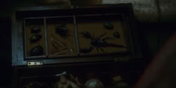 extant_HouseOfTheDragon_1x06-ThePrincessAndTheQueen_1234