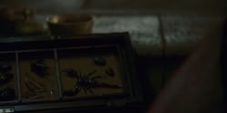 extant_HouseOfTheDragon_1x06-ThePrincessAndTheQueen_1237