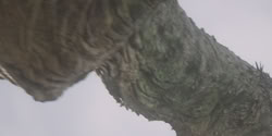 extant_HouseOfTheDragon_1x06-ThePrincessAndTheQueen_1828