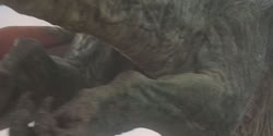 extant_HouseOfTheDragon_1x06-ThePrincessAndTheQueen_1831