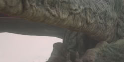 extant_HouseOfTheDragon_1x06-ThePrincessAndTheQueen_1832