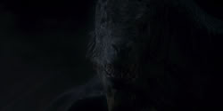 extant_HouseOfTheDragon_1x06-ThePrincessAndTheQueen_4667