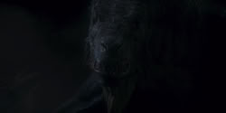 extant_HouseOfTheDragon_1x06-ThePrincessAndTheQueen_4670