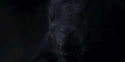 extant_HouseOfTheDragon_1x06-ThePrincessAndTheQueen_4673