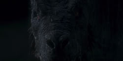 extant_HouseOfTheDragon_1x06-ThePrincessAndTheQueen_4692