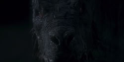 extant_HouseOfTheDragon_1x06-ThePrincessAndTheQueen_4693