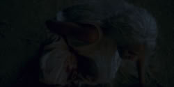 extant_HouseOfTheDragon_1x06-ThePrincessAndTheQueen_4694
