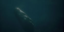 extant_HouseOfTheDragon_1x07-Driftmark_0186