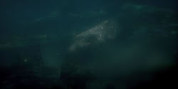 extant_HouseOfTheDragon_1x07-Driftmark_0191