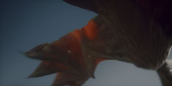 extant_HouseOfTheDragon_1x07-Driftmark_3984