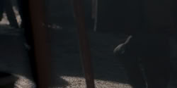 extant_HouseOfTheDragon_1x09-TheGreenCouncil_1510