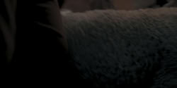 extant_HouseOfTheDragon_1x09-TheGreenCouncil_3591